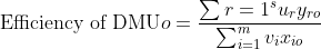 Efficiency of DMU